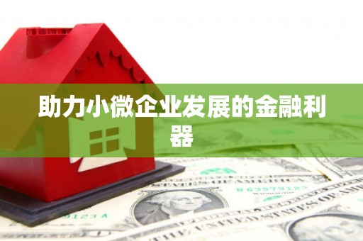 鄯善助力小微企业发展的金融利器