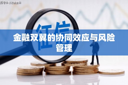 鄯善金融双翼的协同效应与风险管理