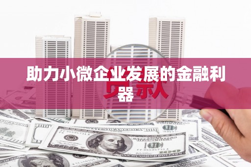 鄯善助力小微企业发展的金融利器