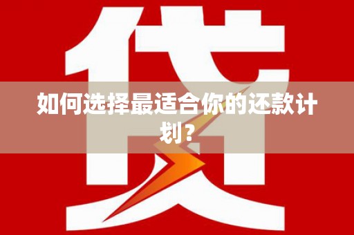 鄯善如何选择最适合你的还款计划？