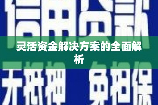 鄯善灵活资金解决方案的全面解析