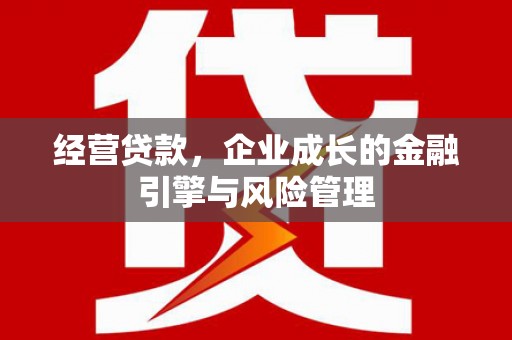 鄯善经营贷款，企业成长的金融引擎与风险管理