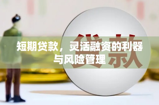 鄯善短期贷款，灵活融资的利器与风险管理