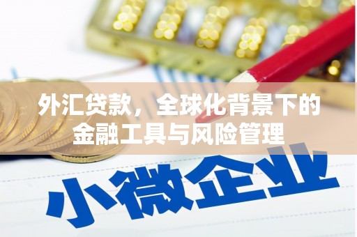 鄯善外汇贷款，全球化背景下的金融工具与风险管理