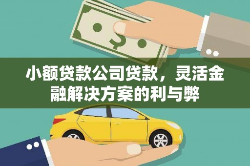 鄯善小额贷款公司贷款，灵活金融解决方案的利与弊