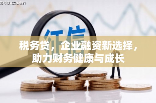 鄯善税务贷，企业融资新选择，助力财务健康与成长