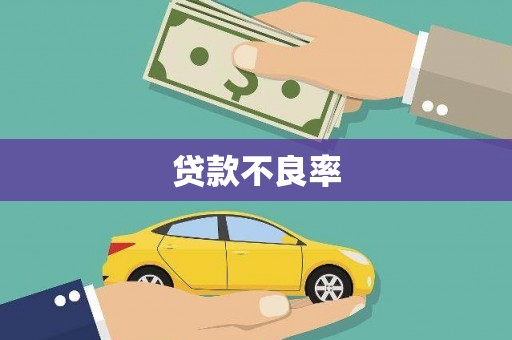 鄯善贷款不良率
