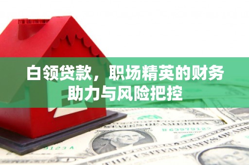 鄯善白领贷款，职场精英的财务助力与风险把控