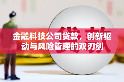 鄯善金融科技公司贷款，创新驱动与风险管理的双刃剑