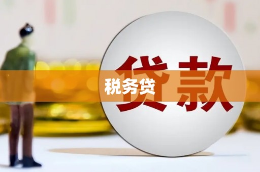 鄯善税务贷